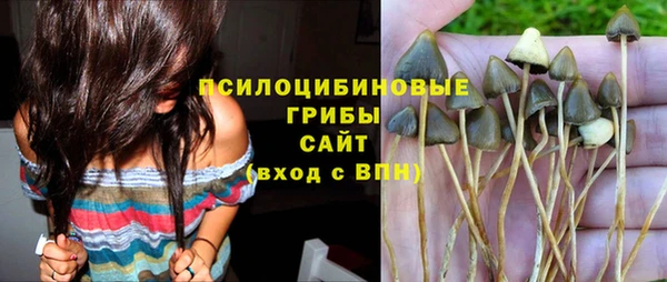 гидропоника Липки