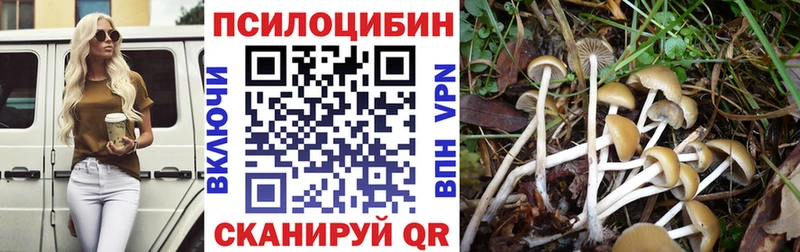 Псилоцибиновые грибы Psilocybe  Заречный 