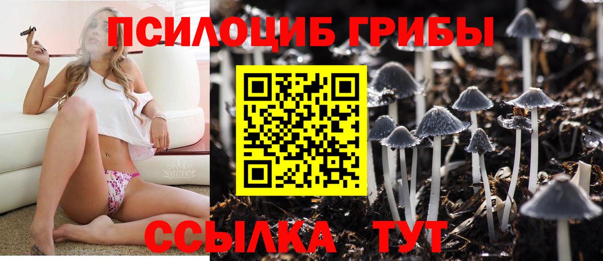 Галлюциногенные грибы мухоморы  Вход с VPN  Заречный  Галлюциногенные грибы прущие грибы 